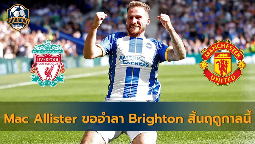 Read more about the article Alexis Mac Allister ต้องการอำลา Brighton ในสิ้นสุดฤดูกาลนี้