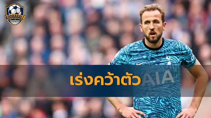 Read more about the article Ferdinand เร่งแมนยูฯ ให้รีบคว้า Harry Kane