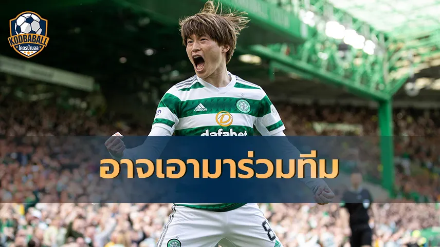 Read more about the article Ange Postecoglou อาจนำเอา Kyogo Furuhashi มาร่วมทีม